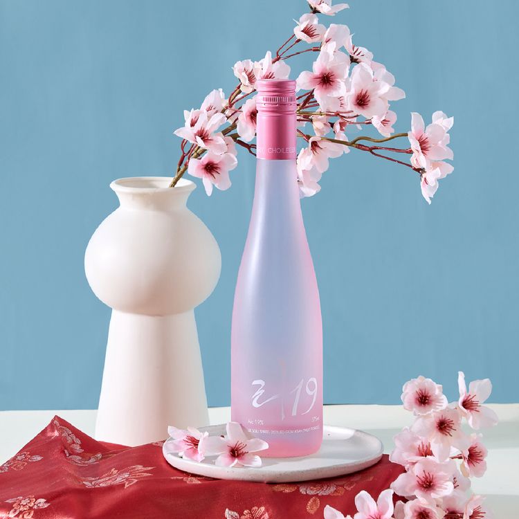 초이리브루어리 리 19% 증류식소주