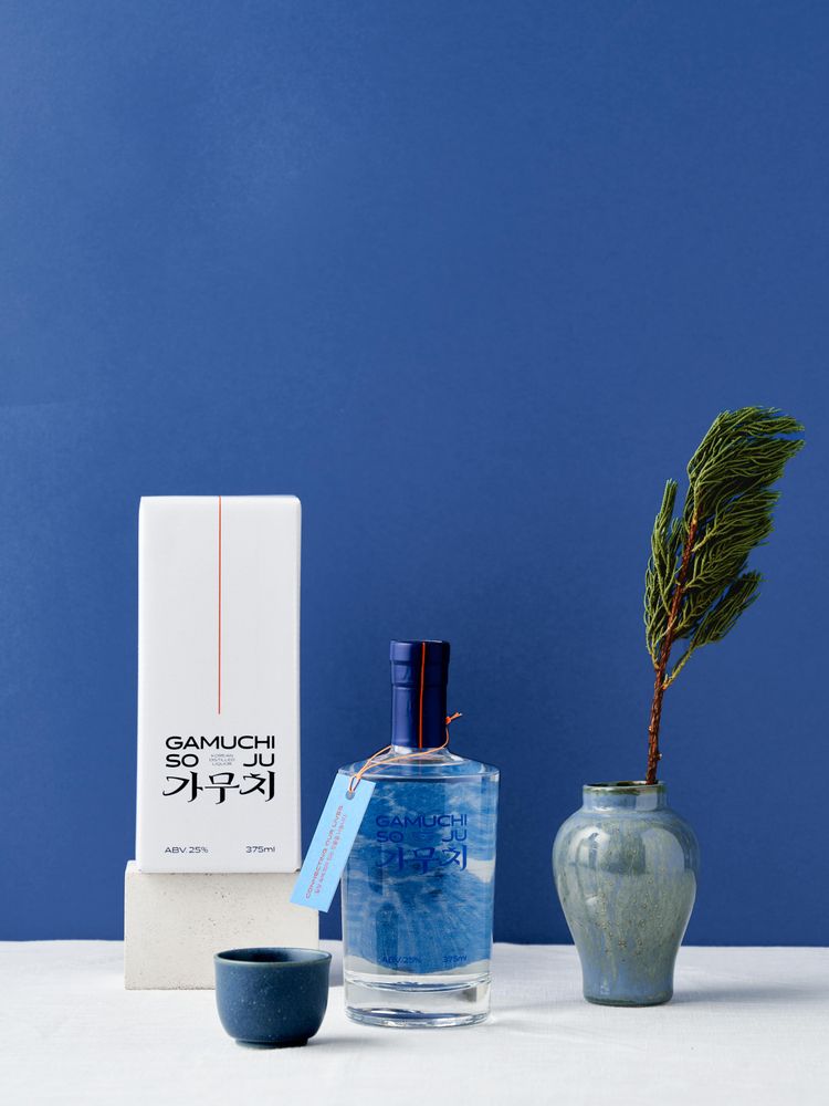 가무치 소주 25% - 술자리를 다채롭게! 술담화 스토어